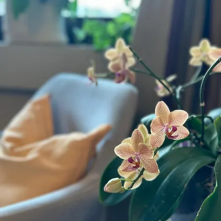 Rinirma Guest house Cocconato