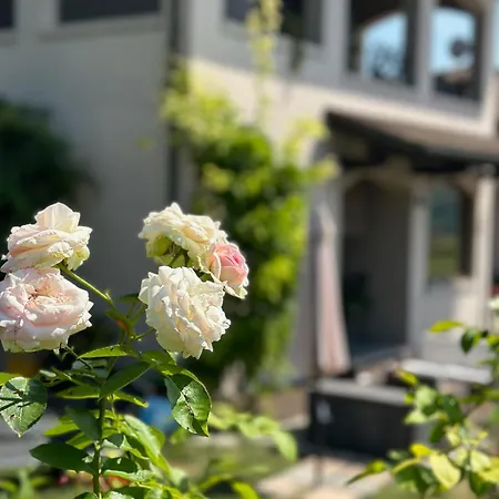 Rinirma 3* Cocconato