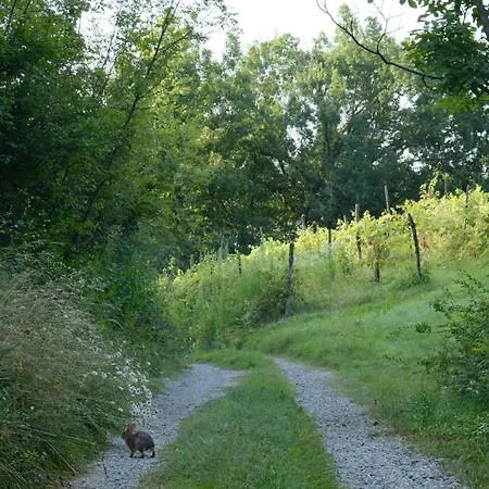 Rinirma Guest house 3*